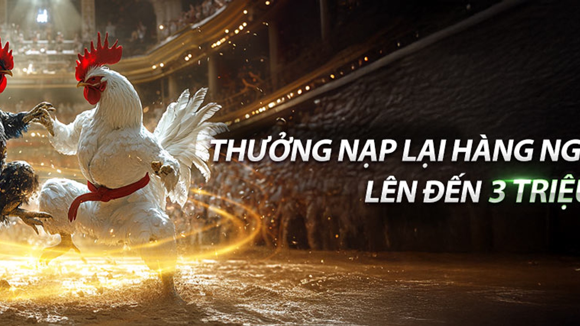 Đá gà trực tuyến Fun88